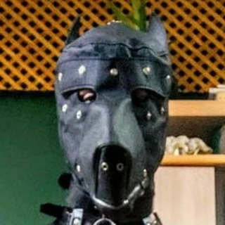 Jaime Fall OnlyFans @jaimefall review (Leaks, Videos, Nudes)