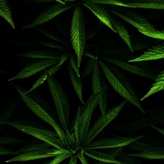 Jason Michael OnlyFans | @jasonmichaelreal review (Leaks, Videos, Nudes)