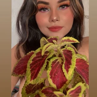 Johanna Perdomo OnlyFans | @johannaperdomo review (Leaks, Videos, Nudes)