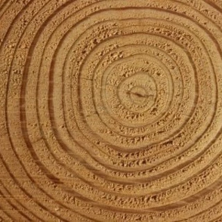 Beefstrokem_off OnlyFans | @kt_kadetrent review (Leaks, Videos, Nudes)