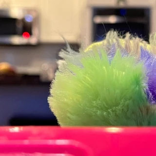 Larry bird OnlyFans | @larrybird87 review (Leaks, Videos, Nudes)