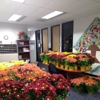 Levine OnlyFans @levilous review (Leaks, Videos, Nudes)