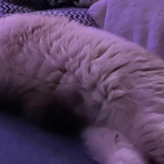 BabyA OnlyFans @lilbabyscrib review (Leaks, Videos, Nudes)