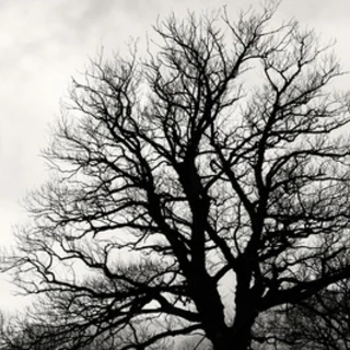 Love OnlyFans @livingfunlife review (Leaks, Videos, Nudes)