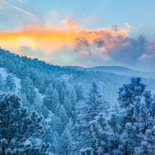 Logan Drip OnlyFans | @logandrip review (Leaks, Videos, Nudes)