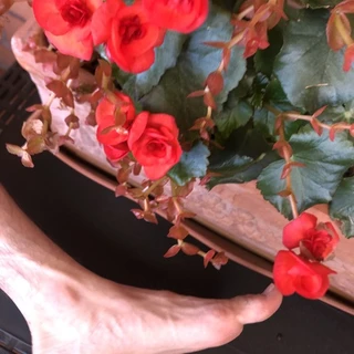 Lorenzo OnlyFans | @lorenzoofficial review (Leaks, Videos, Nudes)