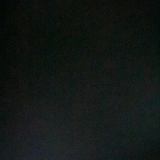 creator profile picture