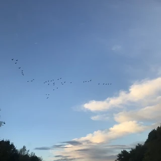 Olive Russell OnlyFans @olivejrussell review (Leaks, Videos, Nudes)