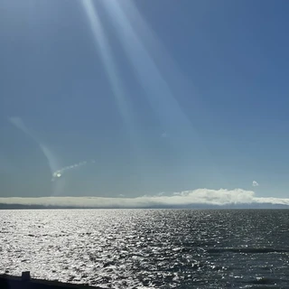 Oscarslay OnlyFans | @oscarmonroe review (Leaks, Videos, Nudes)