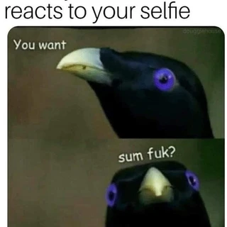 Nerd OnlyFans | @piercednerd review (Leaks, Videos, Nudes)