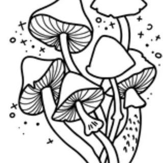 bug OnlyFans | @pretty_mushroom review (Leaks, Videos, Nudes)