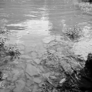 realDarkestate OnlyFans @realdarkestate review (Leaks, Videos, Nudes)