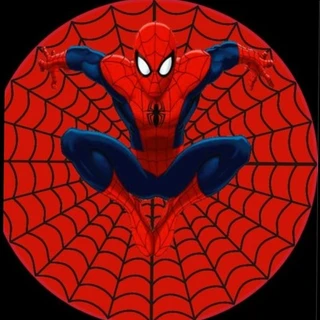 🚨 Spiderman 🔥