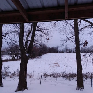 Starlight OnlyFans | @starlightstoner review (Leaks, Videos, Nudes)