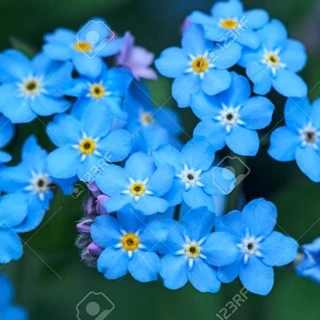 That One Voice OnlyFans @sultry_readings review (Leaks, Videos, Nudes)