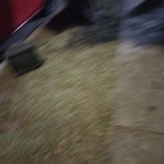 creator profile picture