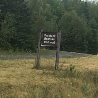 T OnlyFans | @tallest1uknow review (Leaks, Videos, Nudes)