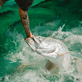 Lexxx OnlyFans | @theghosthimself99 review (Leaks, Videos, Nudes)