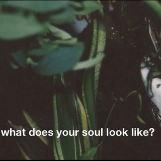 Human OnlyFans | @thehumanexperience review (Leaks, Videos, Nudes)