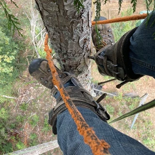 Tim the timber snack OnlyFans @timbersnack review (Leaks, Videos, Nudes)