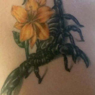 T OnlyFans @tnicole420 review (Leaks, Videos, Nudes)