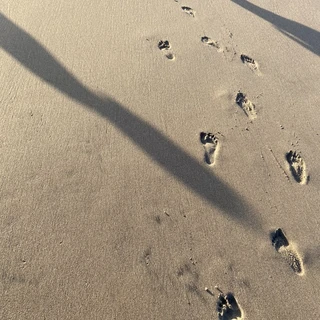 My Feet Around the World OnlyFans | @travelfoot review (Leaks, Videos