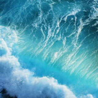 NudeDudes OnlyFans | @twodudesnude review (Leaks, Videos, Nudes)