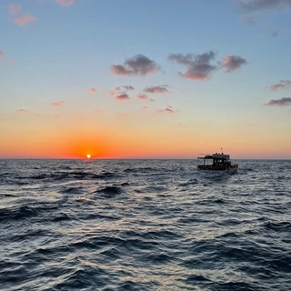 Ko ko OnlyFans | @u33030600 review (Leaks, Videos, Nudes)